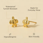 Golden Turtle Studs